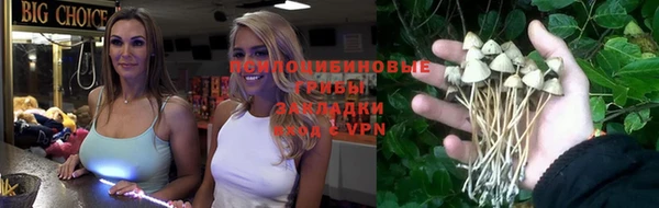 PSILOCYBIN Балахна