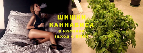 сатива Балабаново