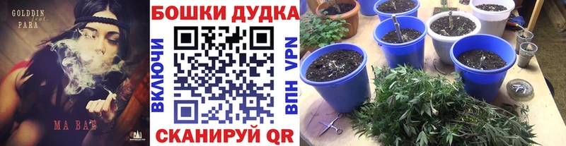 Каннабис OG Kush  хочу наркоту  mega   Волосово 